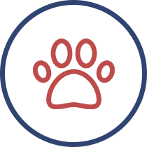Dog daycare icon
