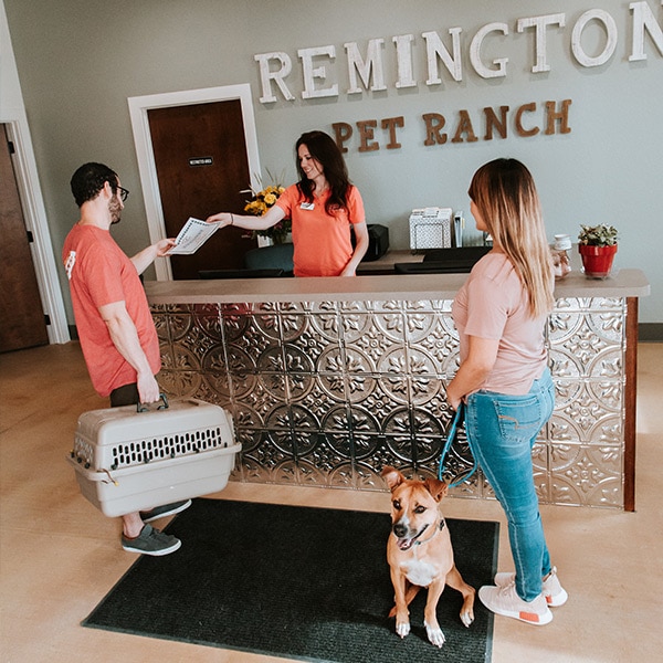 Remington - Front Desk Dog Boarding