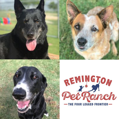 Remington Pet Ranch the Four Legged Frontier